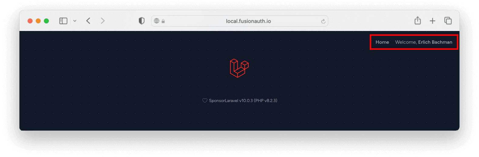 The default Laravel application while being logged in.