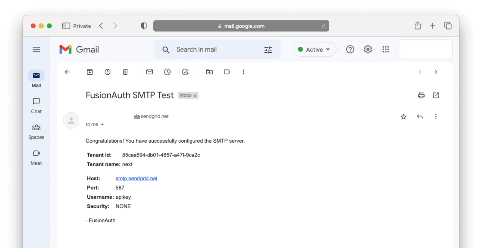 A test email that was successfully sent via FusionAuth