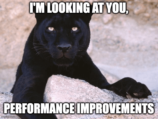Performance panther is looking at you.