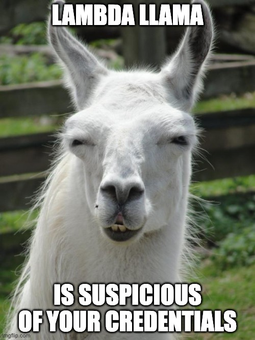 FusionAuth Login Lambda Llama Meme. A llama with the caption that reads Lambda Llama is suspicious of your credentials