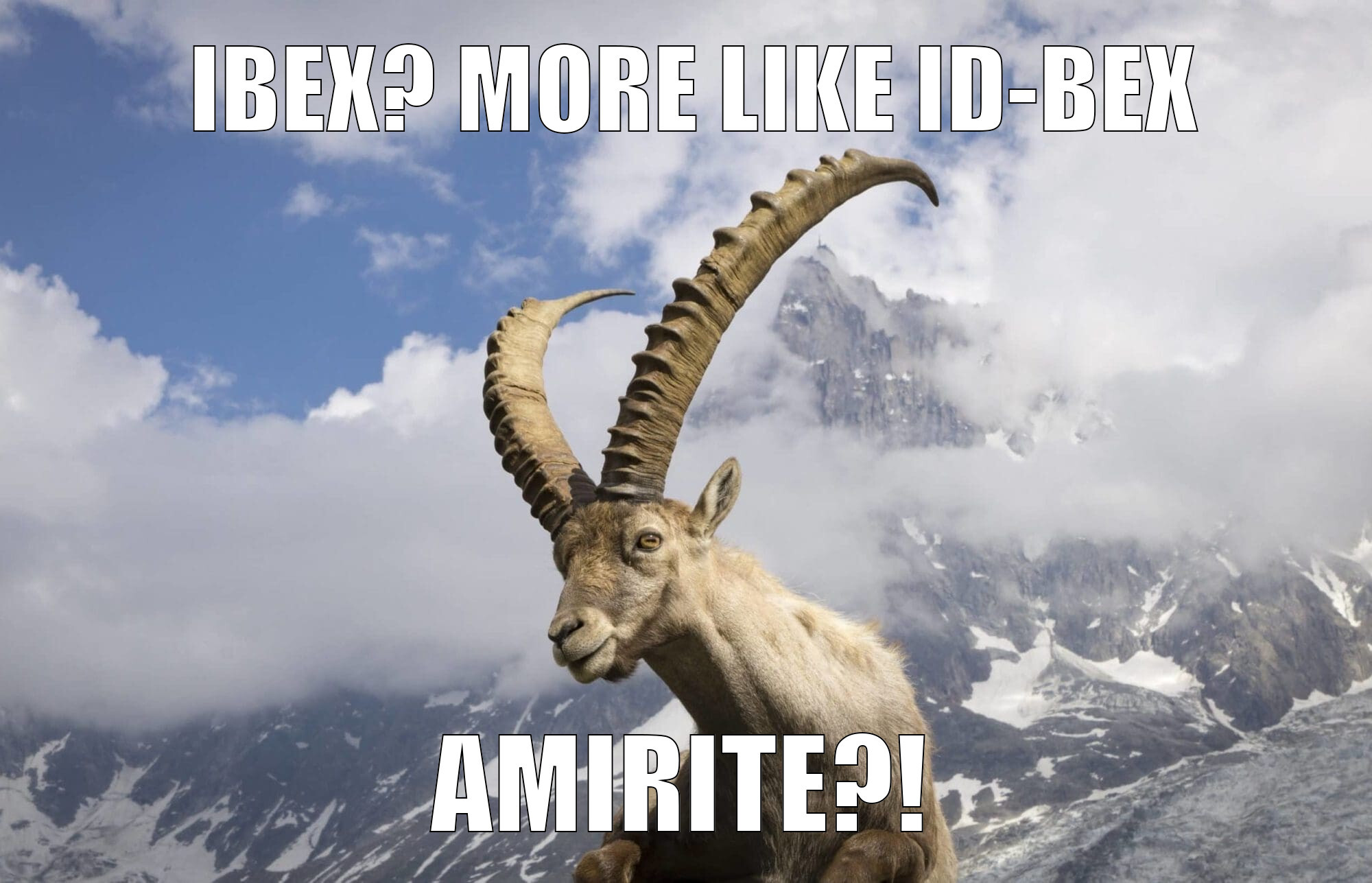 The Identity Ibex