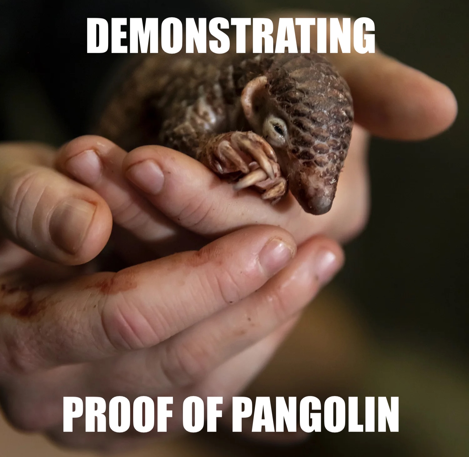Demonstrating Proof-of-Pangolin