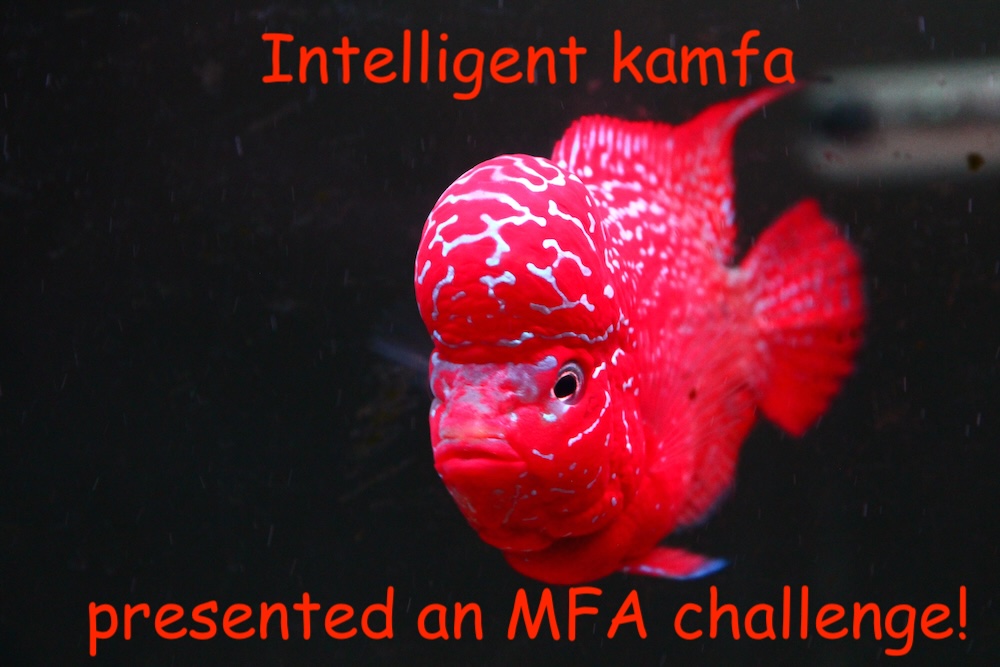 an image of a red kamfa fish with the caption 'intelligent kamfa presented an mfa challenge', image credit to redditor u/TorontoFishGuy