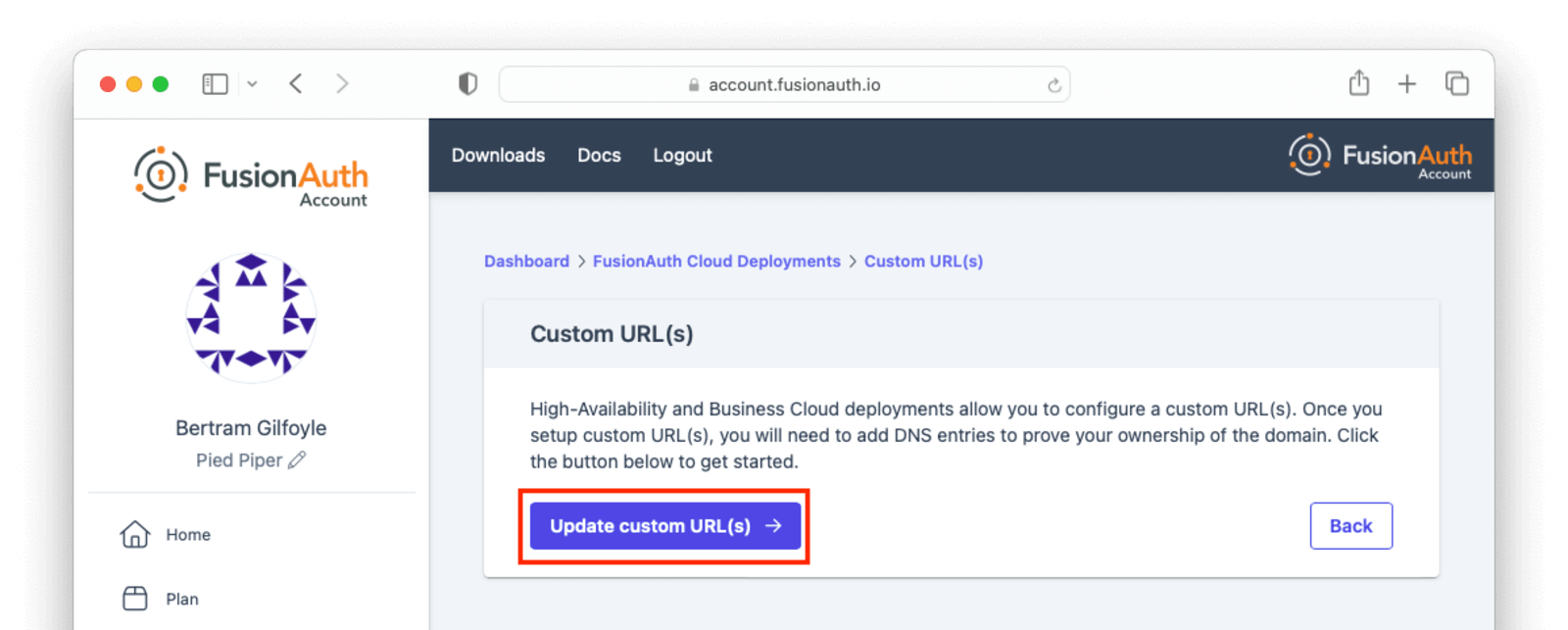 The Update custom URL(s) button, which opens the edit page